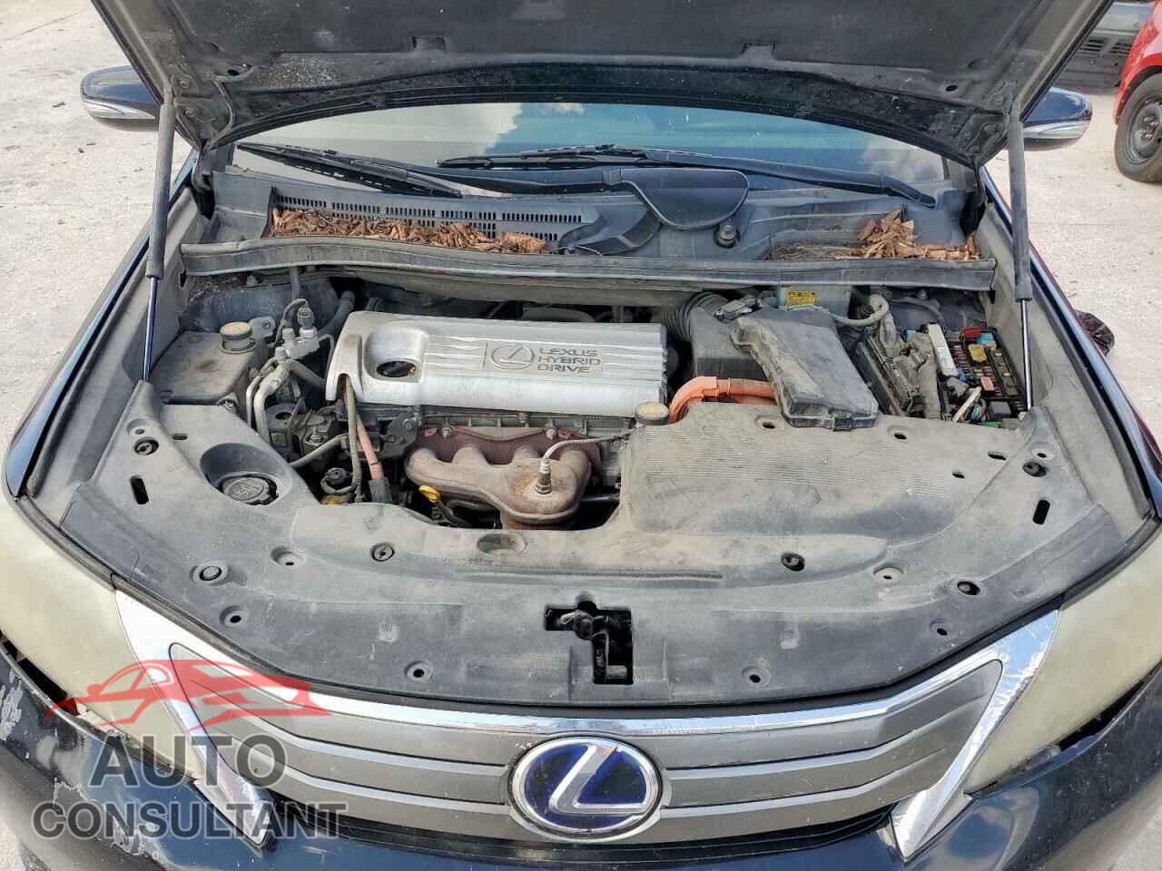 LEXUS HS 2010 - JTHBB1BA0A2021031