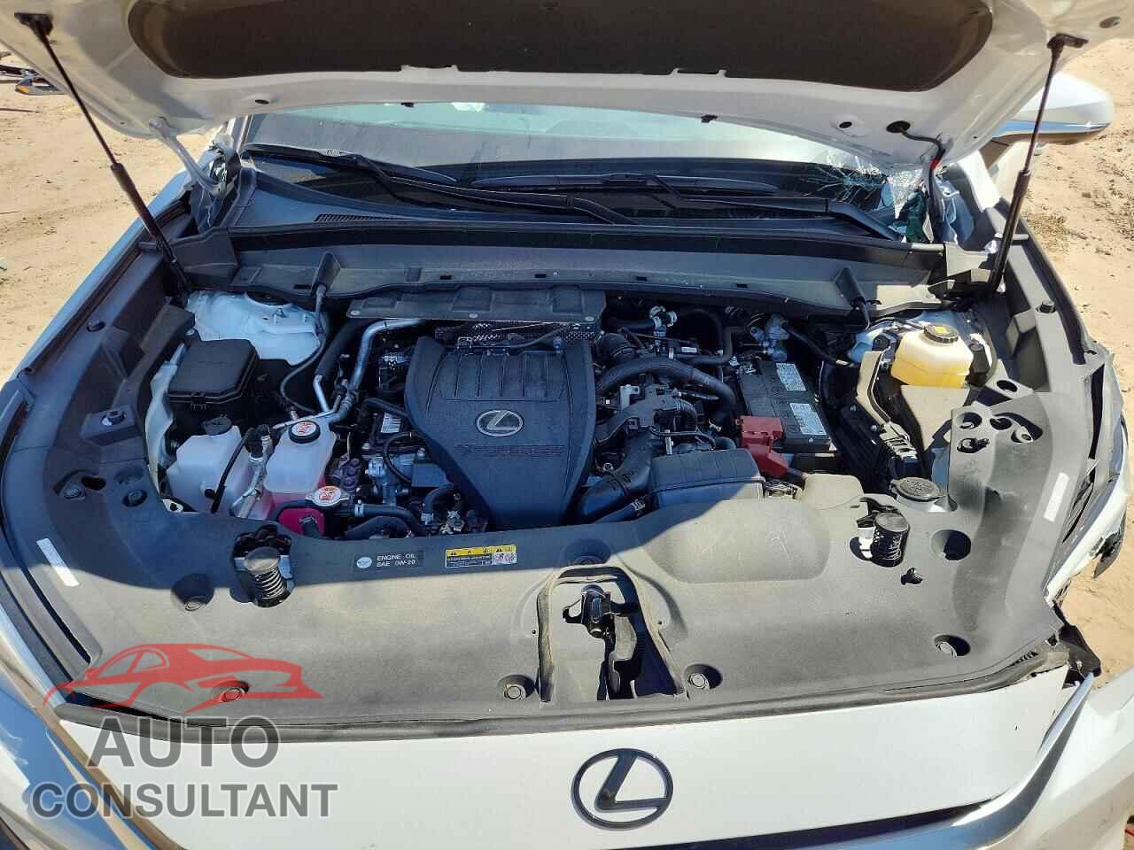 LEXUS UNKNOWN 2026 - 5TDAAAB62TS053681