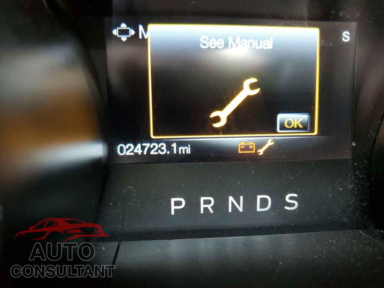 FORD MUSTANG 2019 - 1FA6P8CF2K5116896