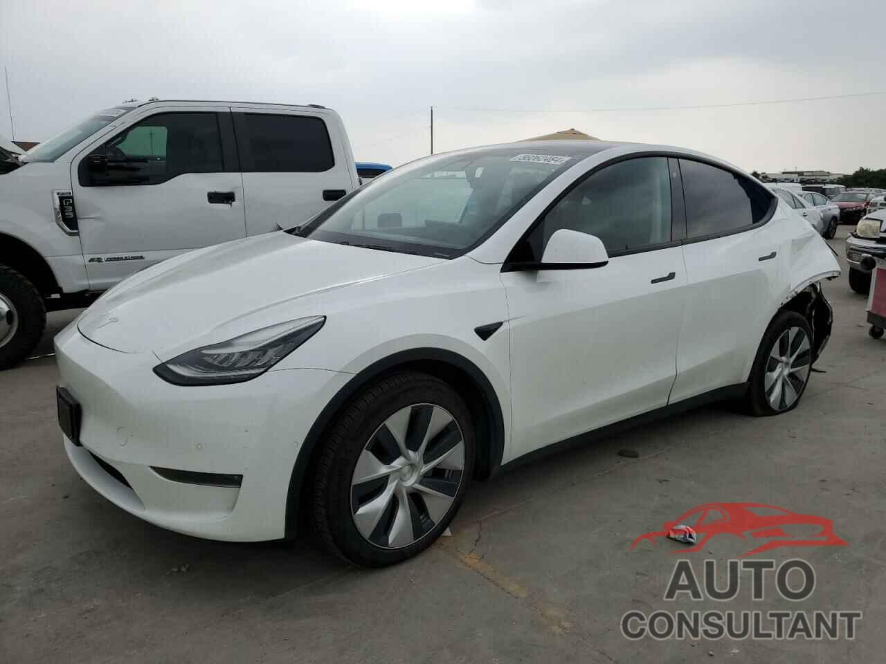 TESLA MODEL Y 2020 - 5YJYGDEE4LF028206