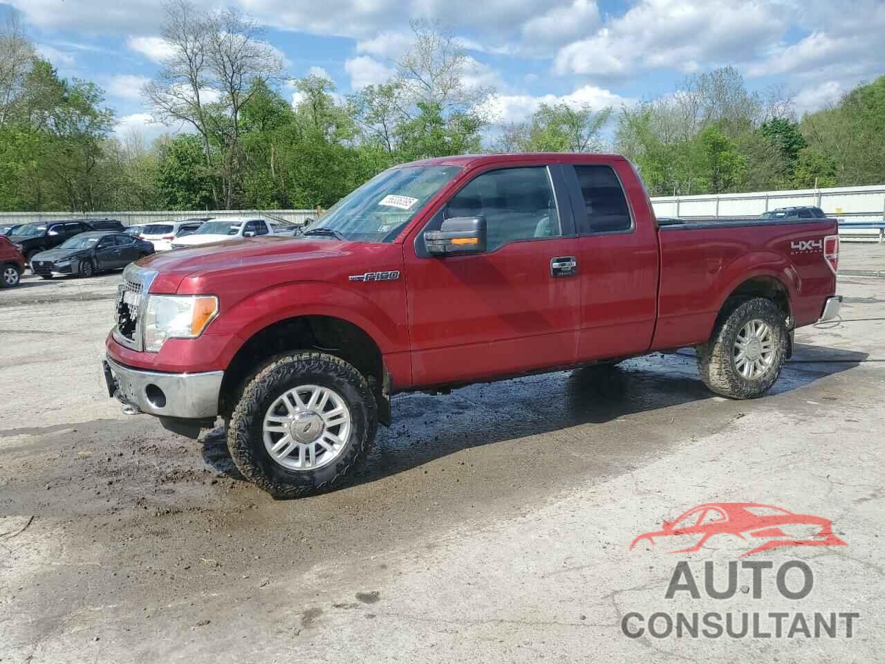 FORD F-150 2013 - 1FTFX1EF6DFC48202