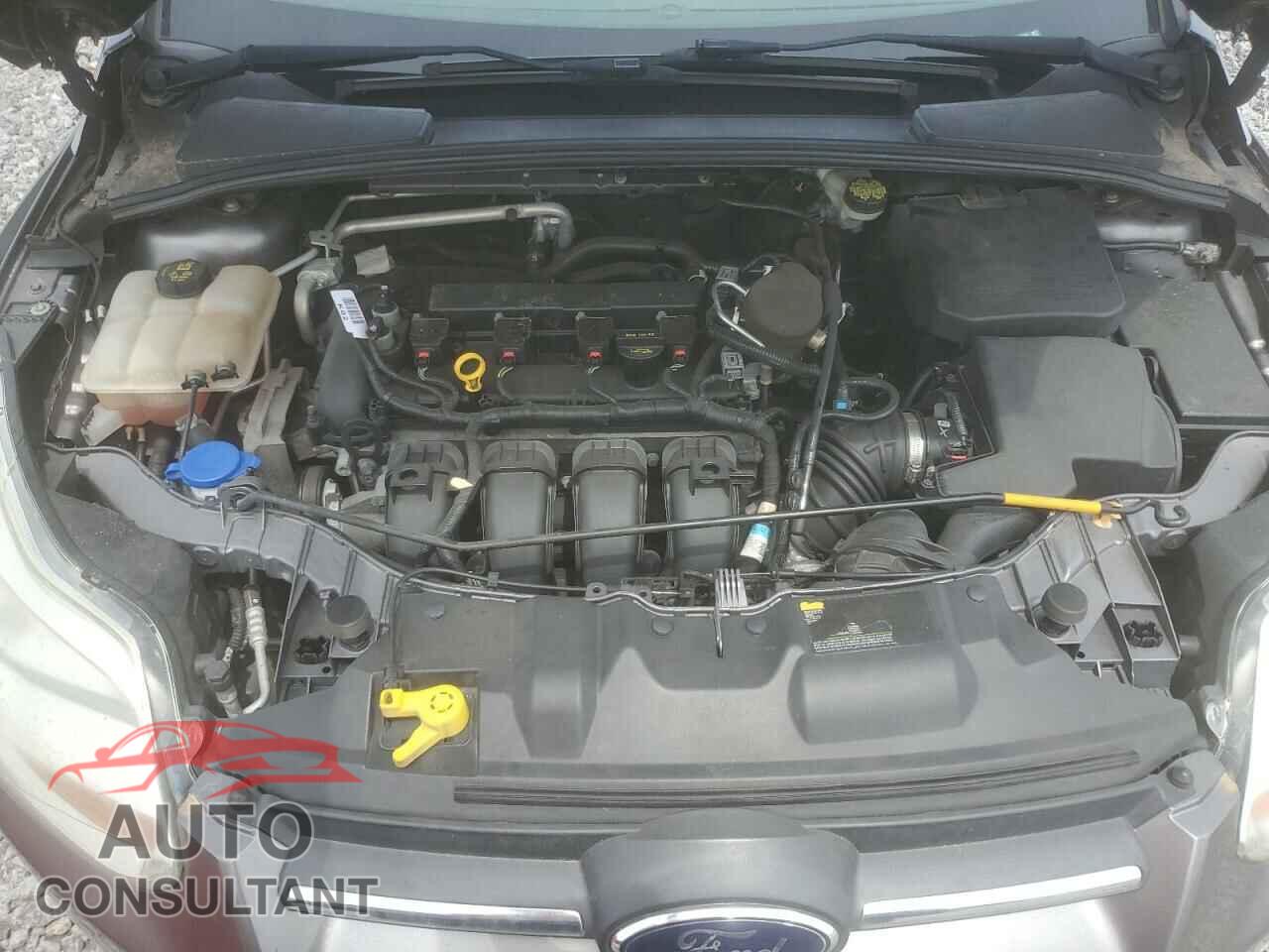FORD FOCUS 2014 - 1FADP3K21EL148456