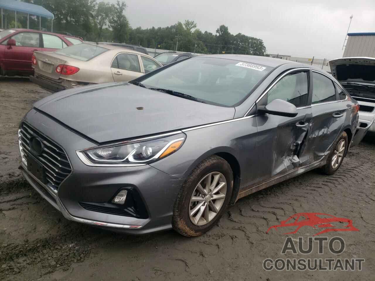 HYUNDAI SONATA 2019 - 5NPE24AFXKH761781