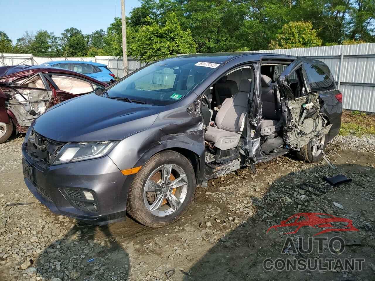 HONDA All Models 2019 - 5FNRL6H58KB013889