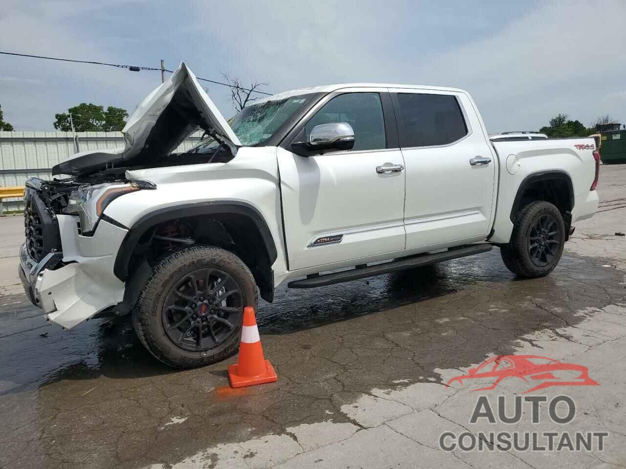 TOYOTA TUNDRA 2025 - 5TFMA5DB4SX267000