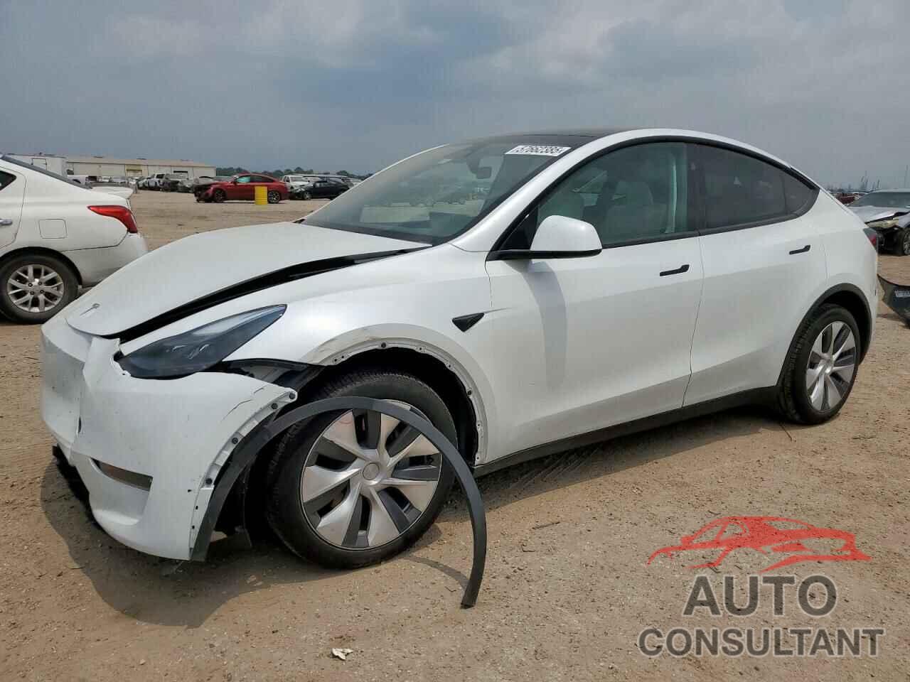 TESLA MODEL Y 2024 - 7SAYGDEE6RA290124