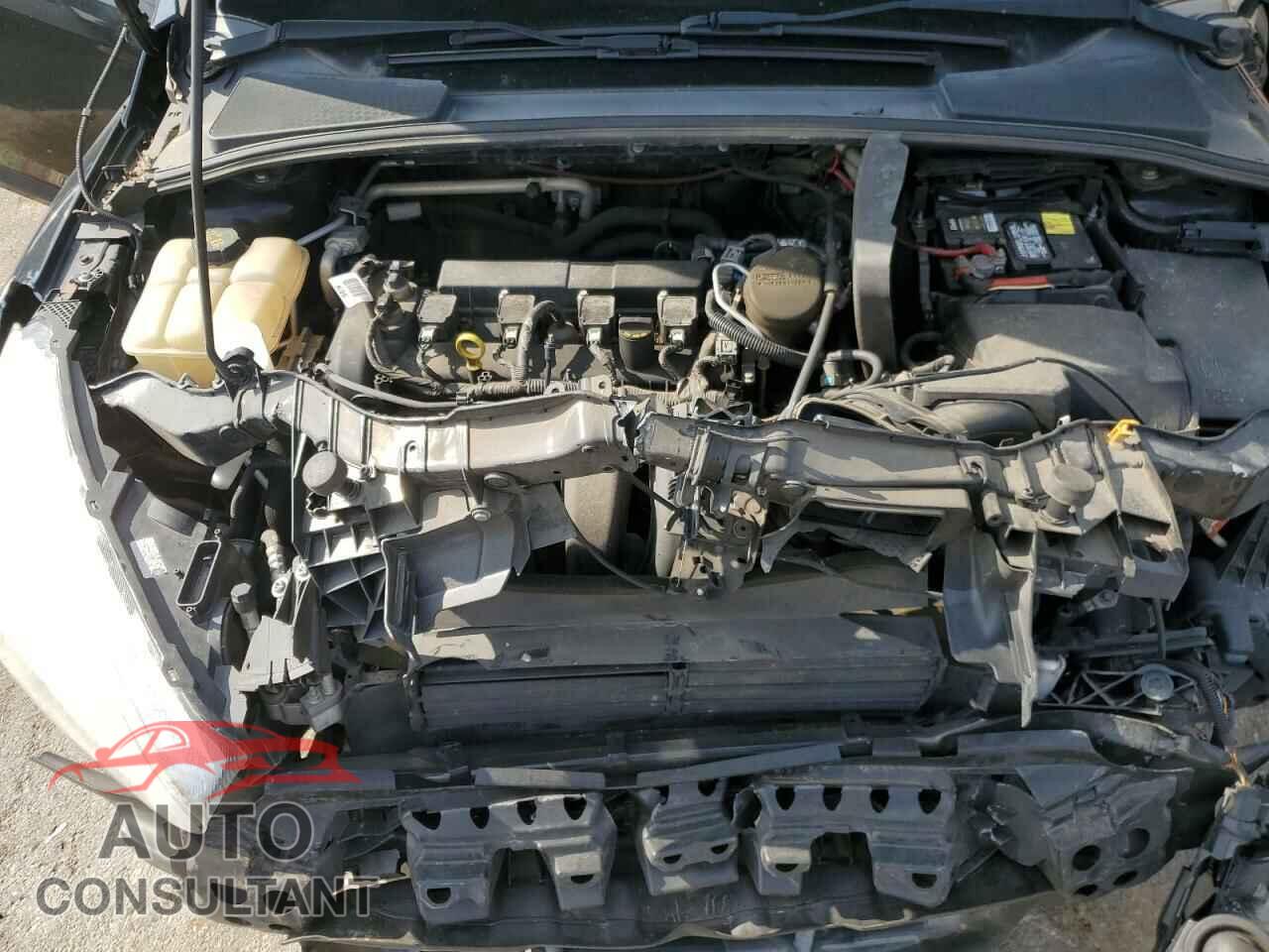 FORD FOCUS 2016 - 1FADP3F22GL207351