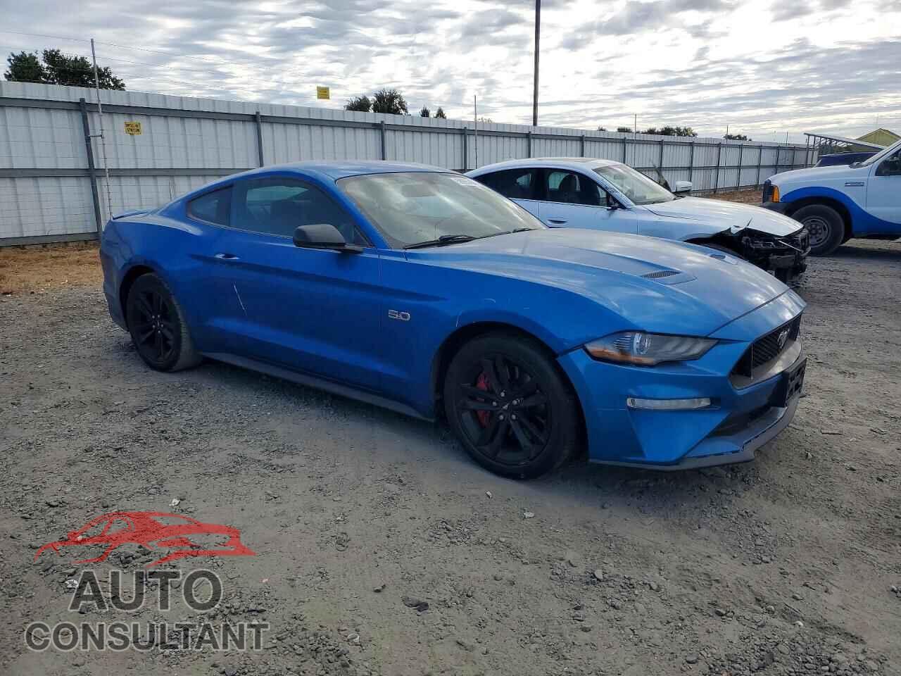 FORD MUSTANG 2019 - 1FA6P8CF2K5138302