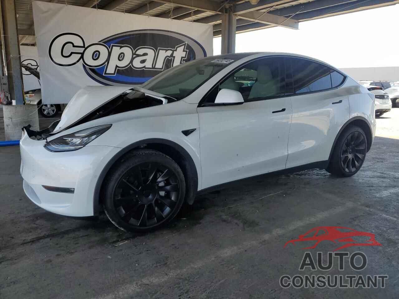 TESLA MODEL Y 2021 - 5YJYGDEE8MF279831