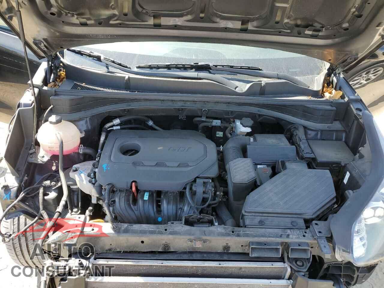 KIA SPORTAGE 2021 - KNDPM3AC6M7926073