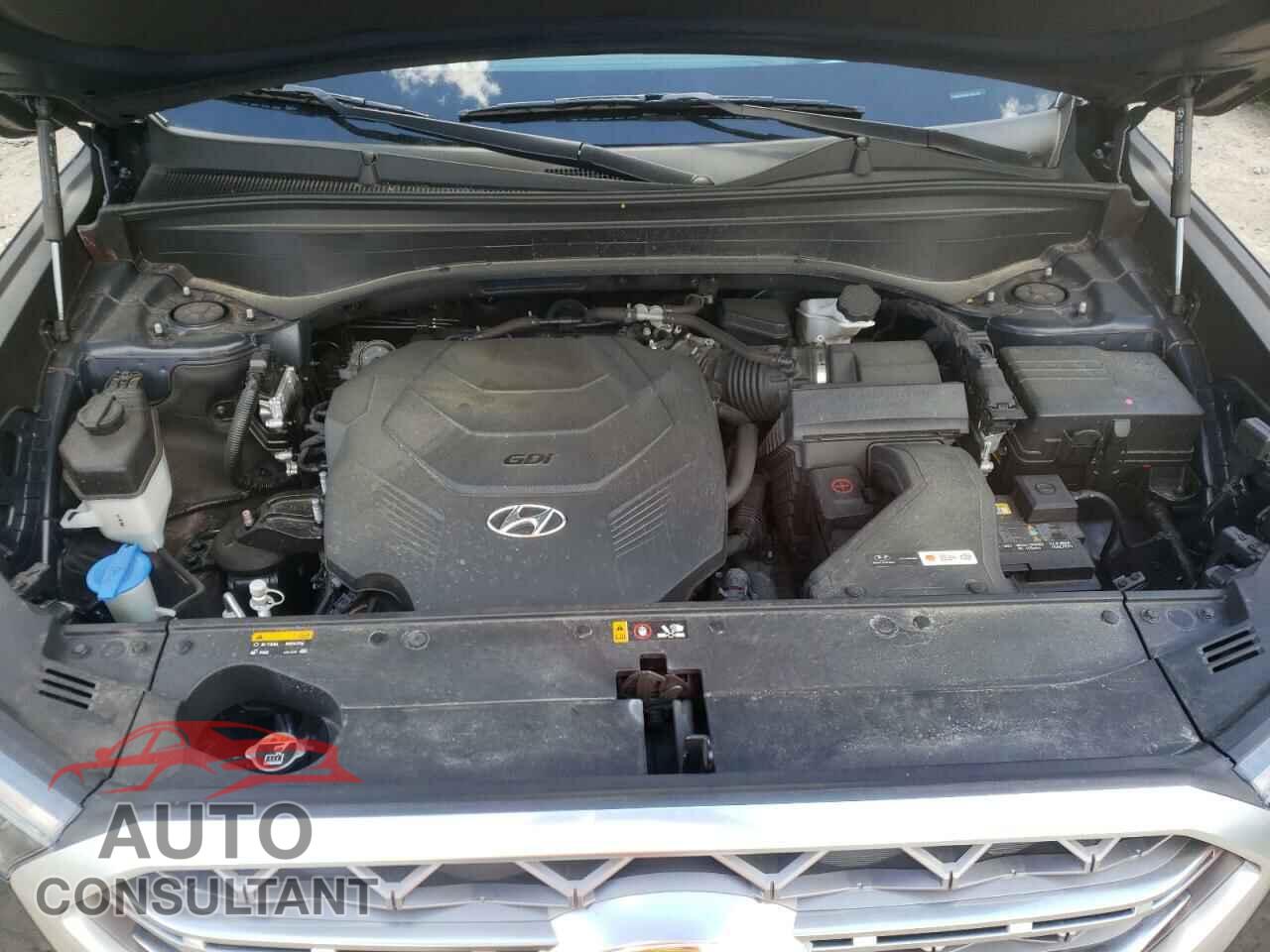 HYUNDAI PALISADE 2020 - KM8R5DHE9LU047178
