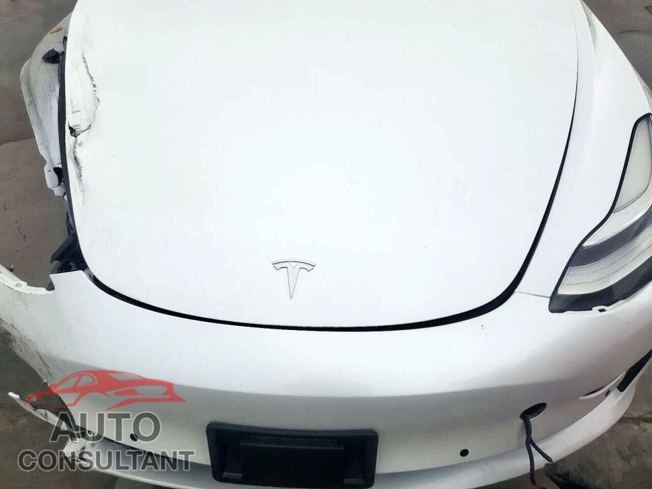 TESLA MODEL 3 2019 - 5YJ3E1EB9KF512116