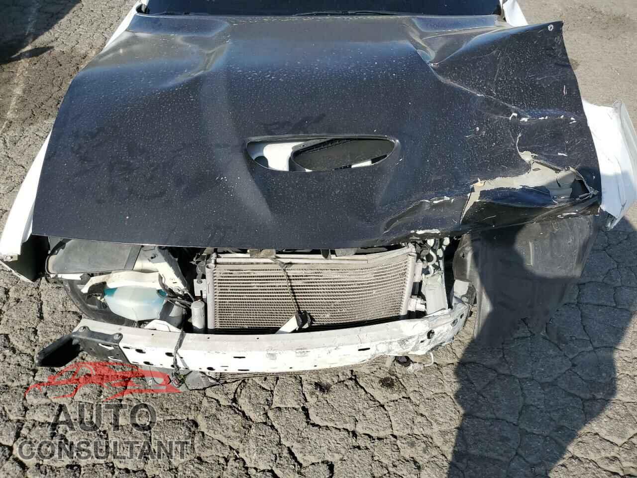 DODGE CHALLENGER 2019 - 2C3CDZBT3KH654720