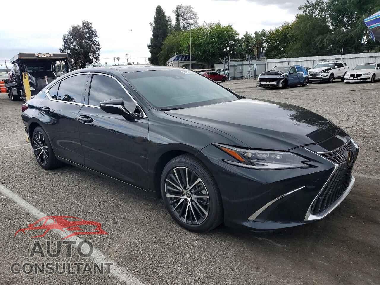 LEXUS ES300 2024 - 58ADA1C19RU054058