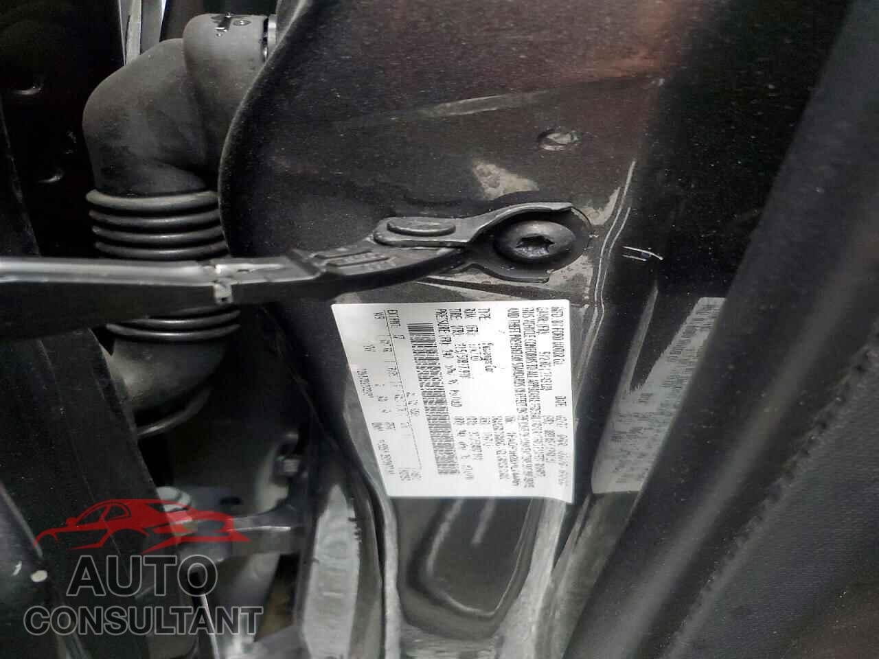FORD FOCUS 2017 - 1FADP3H28HL244466