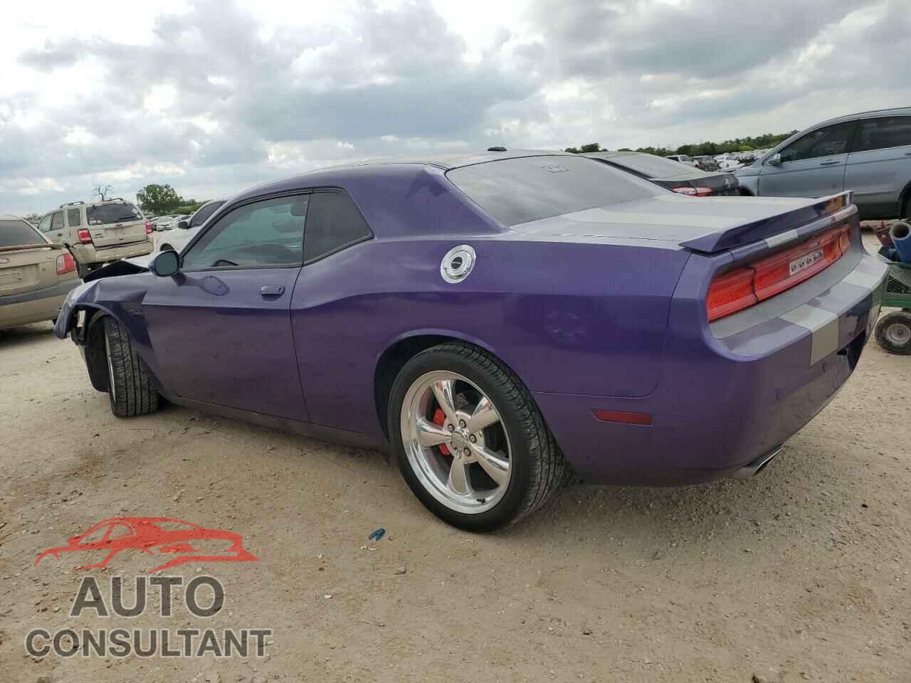 DODGE CHALLENGER 2013 - 2C3CDYBTXDH671611
