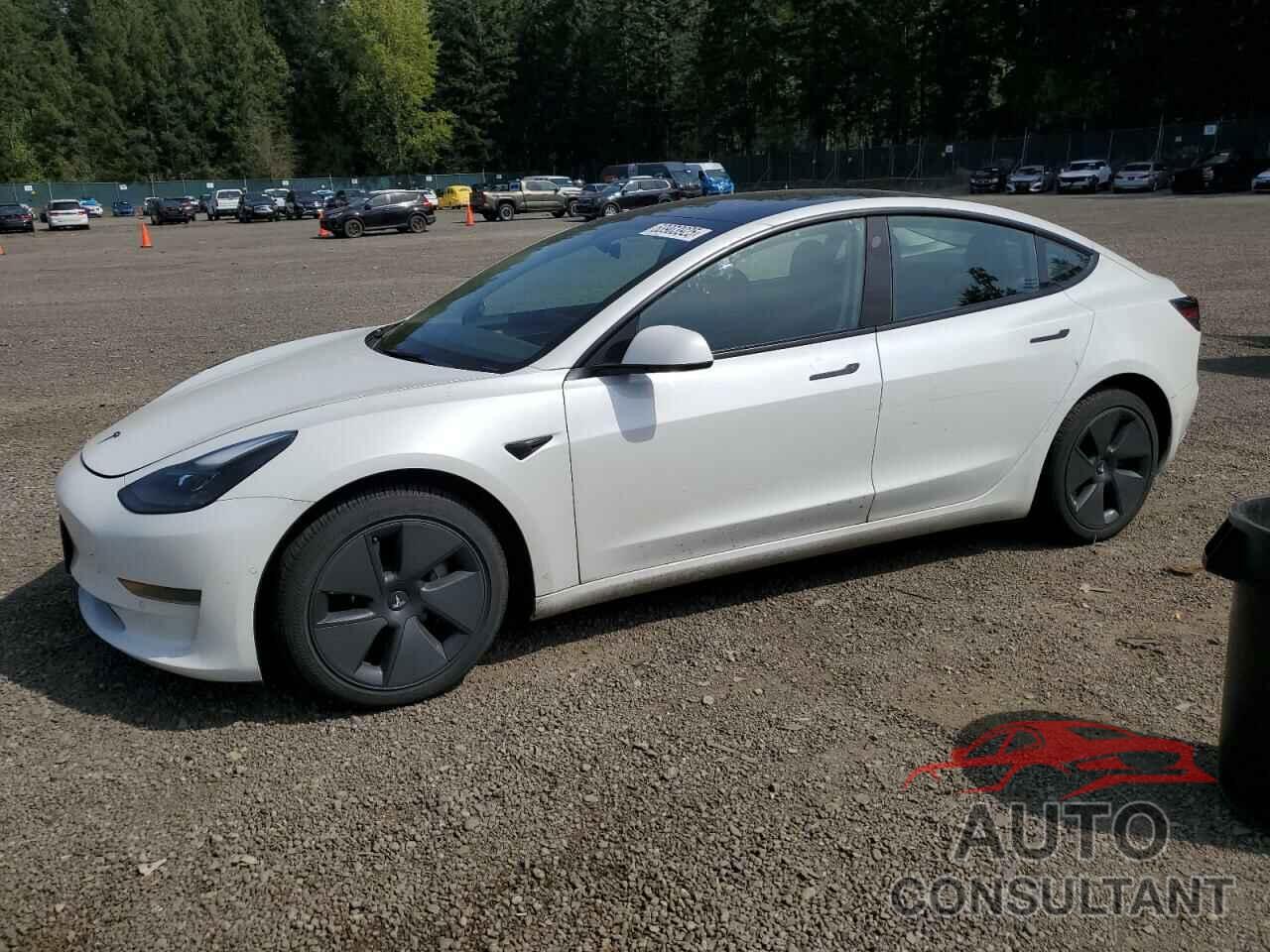 TESLA MODEL 3 2021 - 5YJ3E1EAXMF091713