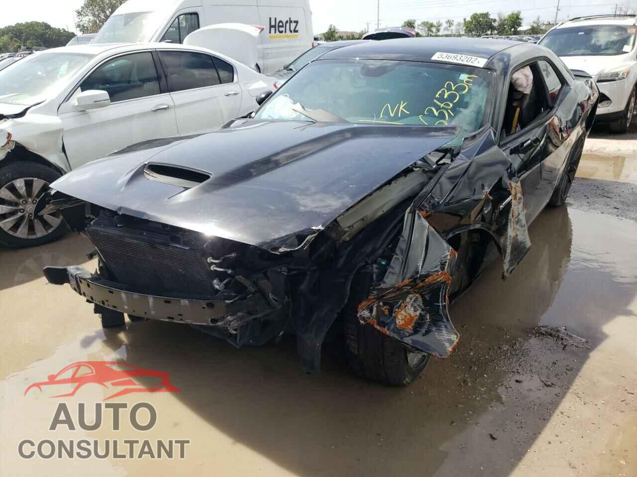 DODGE CHALLENGER 2019 - 2C3CDZBT5KH521571