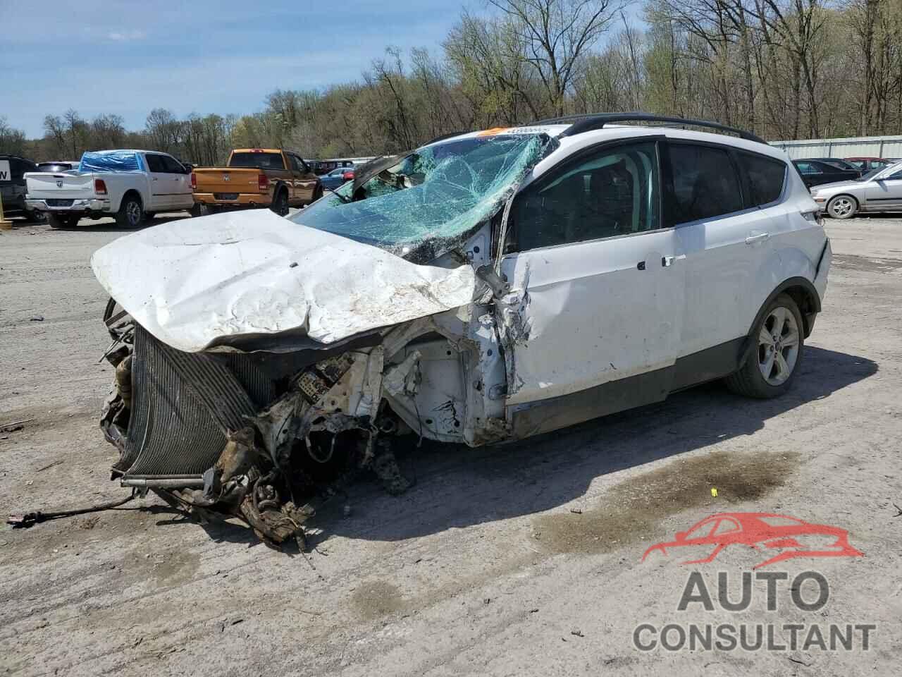 FORD ESCAPE 2014 - 1FMCU9GX2EUA51469