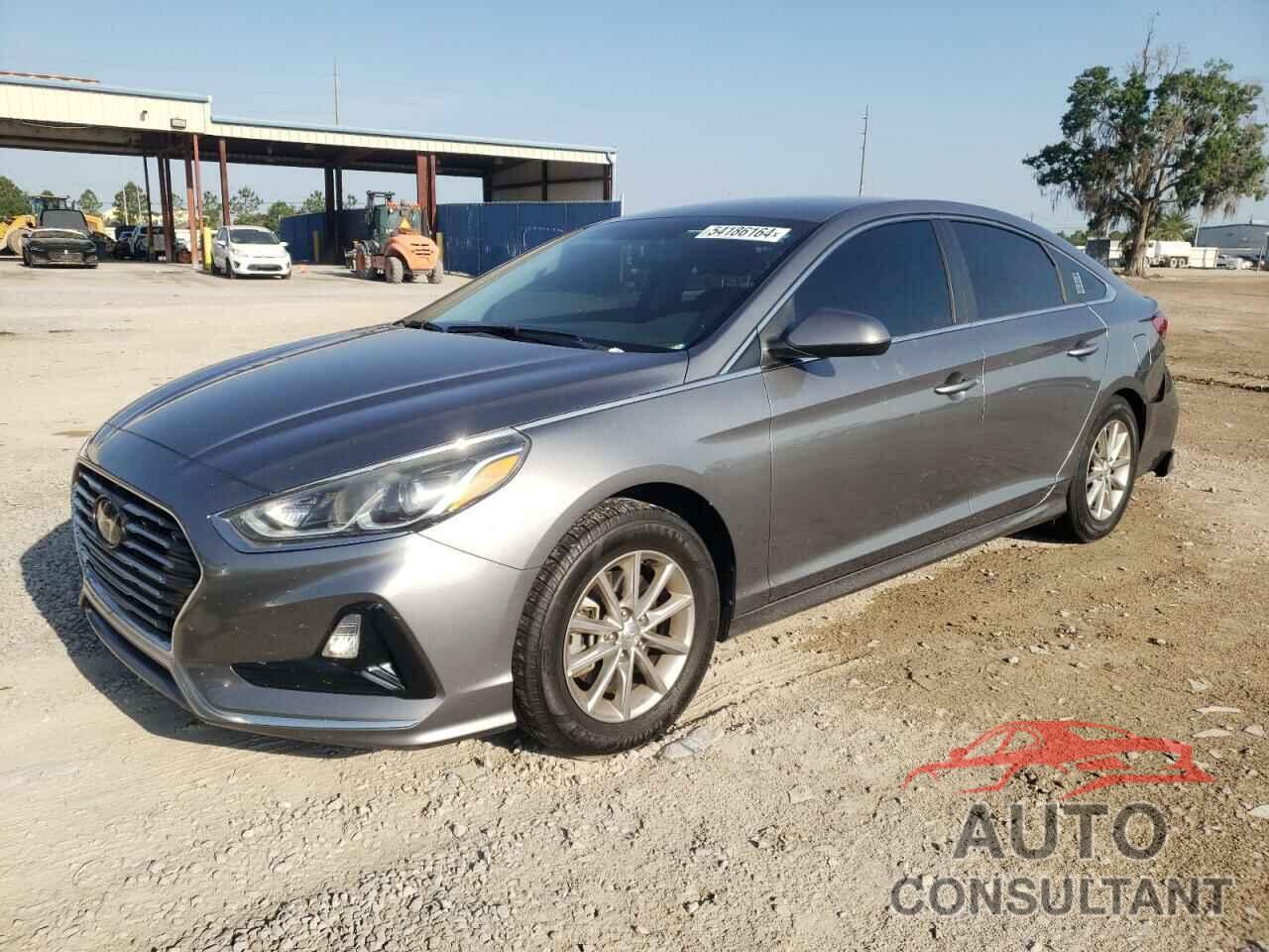 HYUNDAI SONATA 2019 - 5NPE24AF4KH738674