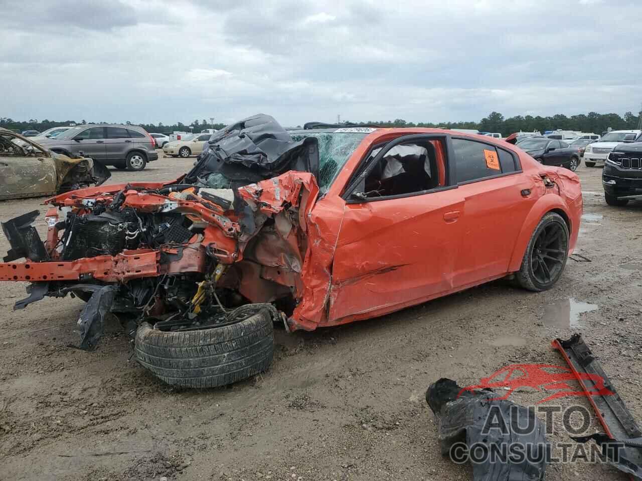 DODGE CHARGER 2023 - 2C3CDXGJ2PH631058