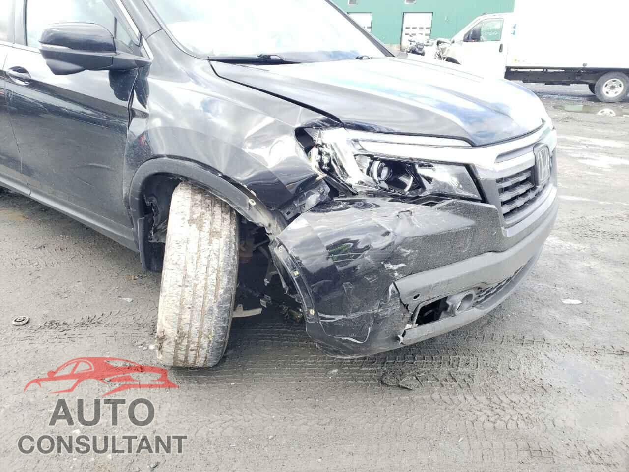 HONDA RIDGELINE 2020 - 5FPYK3F51LB501431