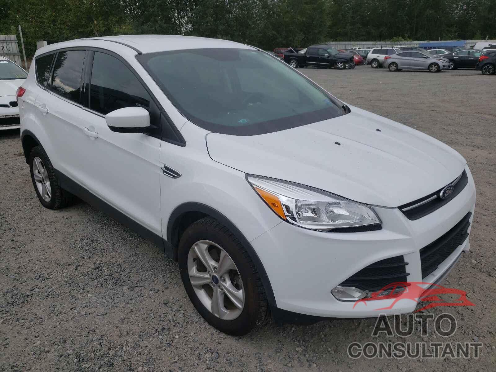 FORD ESCAPE 2016 - 1FMCU9GX2GUC61184