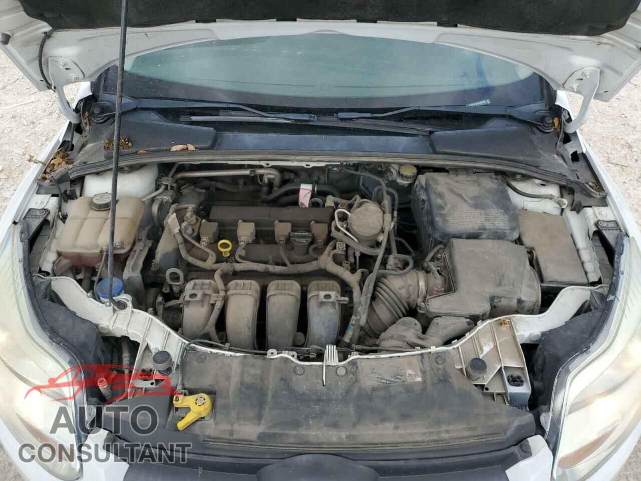 FORD FOCUS 2013 - 1FADP3F24DL267952