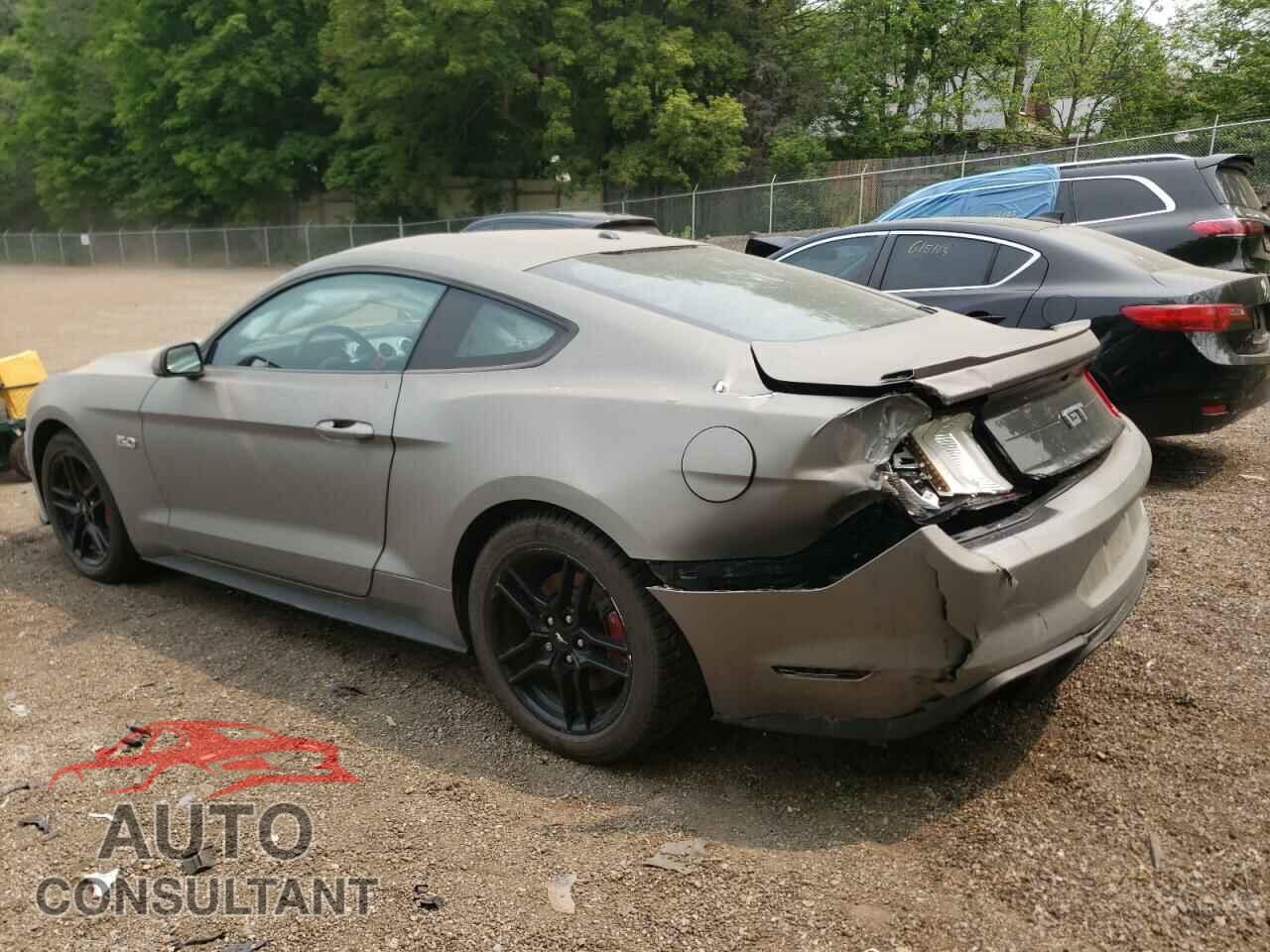 FORD MUSTANG 2019 - 1FA6P8CF0K5159987