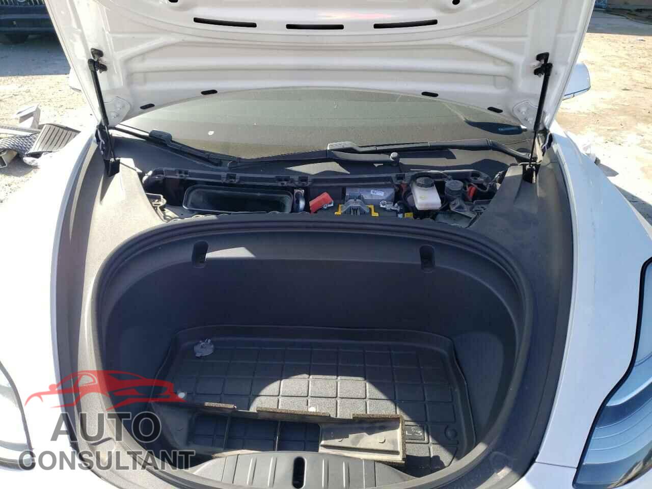 TESLA MODEL 3 2020 - 5YJ3E1EB2LF746793