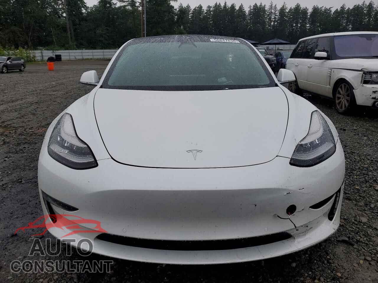 TESLA MODEL 3 2020 - 5YJ3E1EA1LF745061