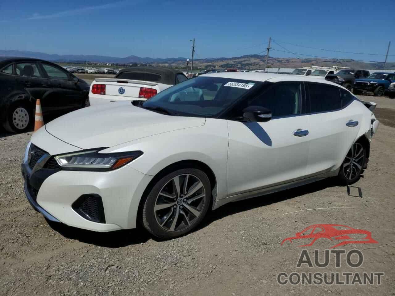 NISSAN MAXIMA 2021 - 1N4AA6CV9MC515214