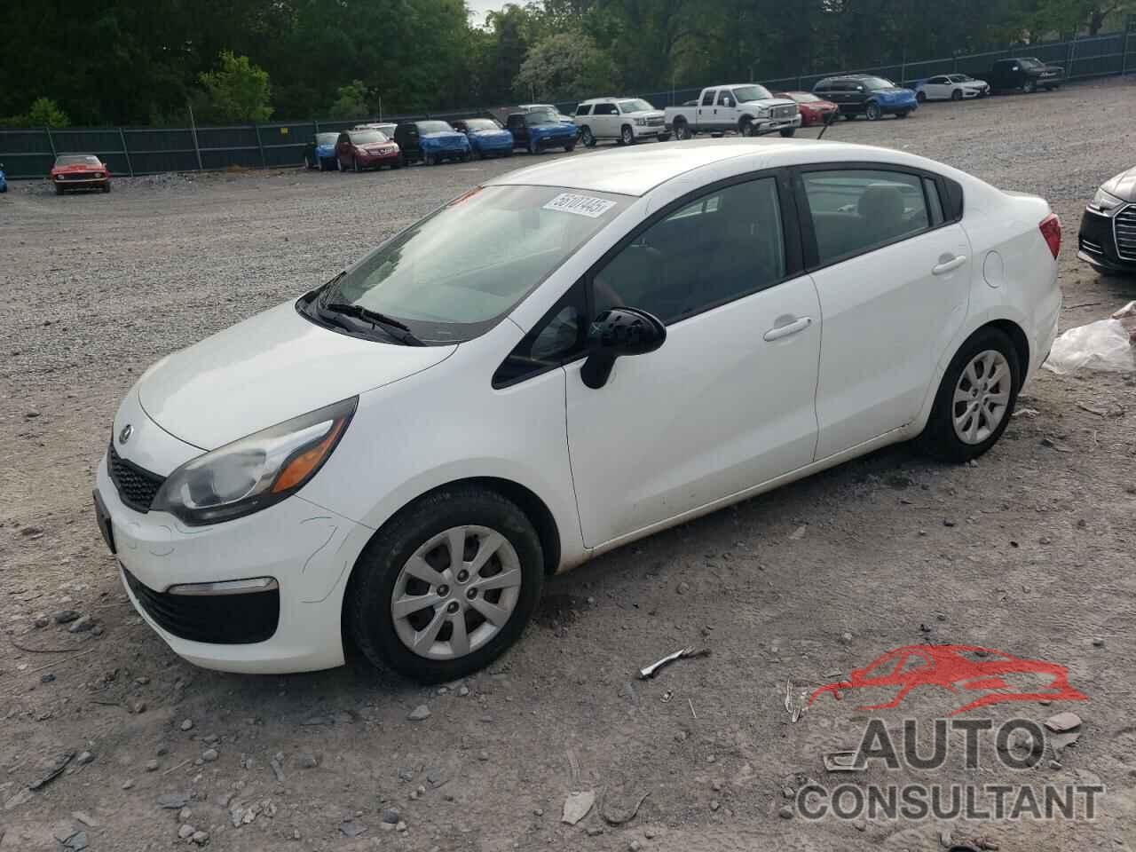 KIA RIO 2016 - KNADM4A36G6688662