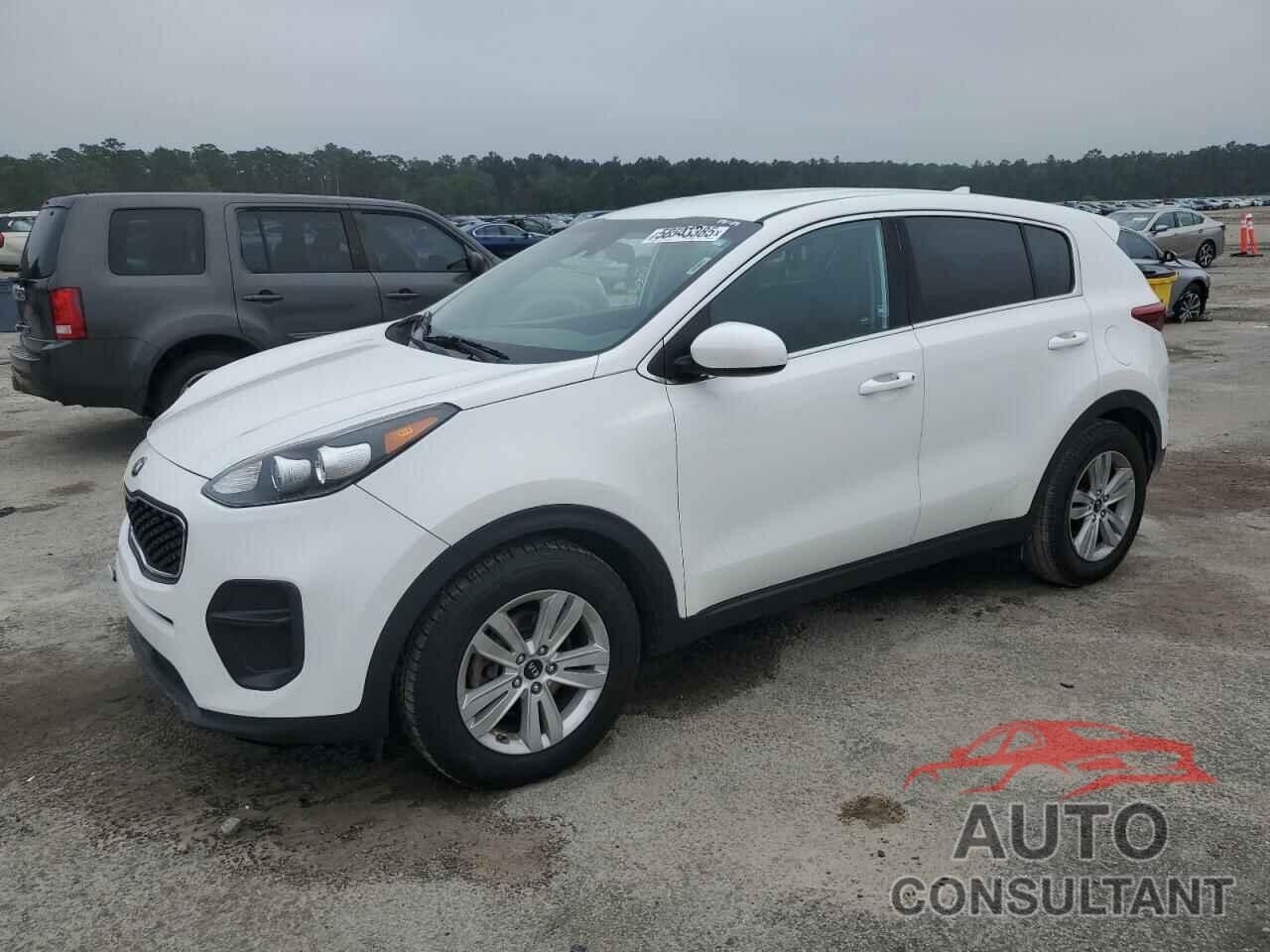 KIA SPORTAGE 2019 - KNDPM3AC0K7491967