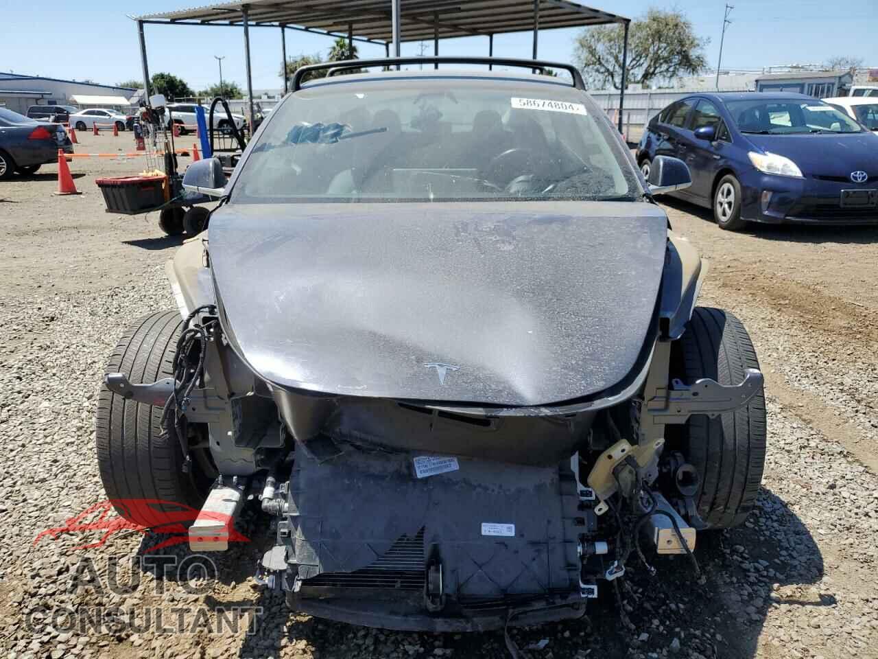 TESLA MODEL 3 2019 - 5YJ3E1EA1KF425835