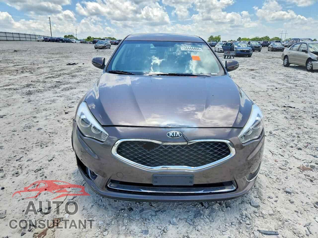 KIA CADENZA 2014 - KNALN4D77E5120463