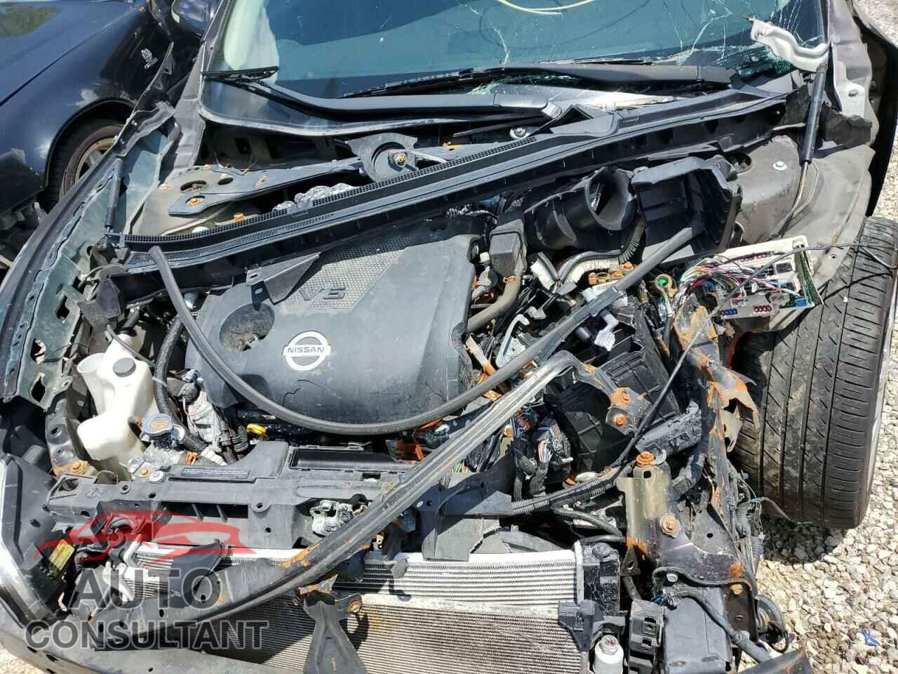 NISSAN MAXIMA 2014 - 1N4AA5AP1EC497162