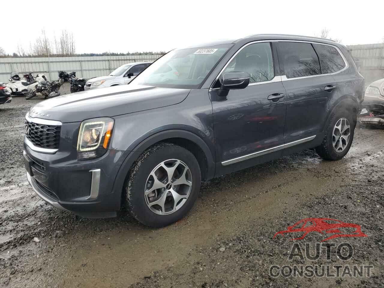 KIA TELLURIDE 2022 - 5XYP3DHC8NG229605