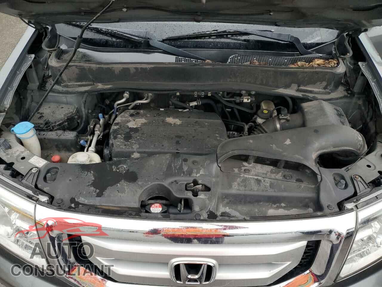 HONDA PILOT 2011 - 5FNYF4H67BB015164