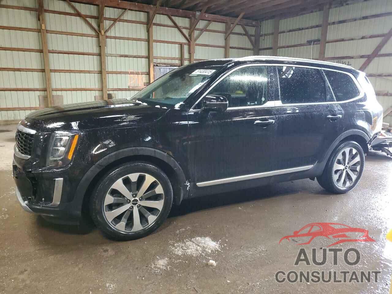 KIA TELLURIDE 2022 - 5XYP5DHCXNG253849