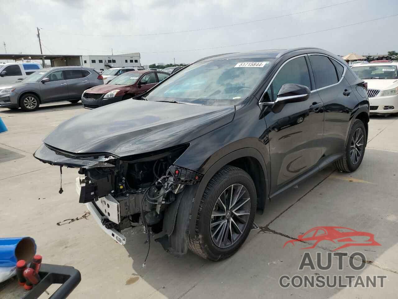 LEXUS NX 250 PRE 2024 - 2T2GDCAZ9RC008193