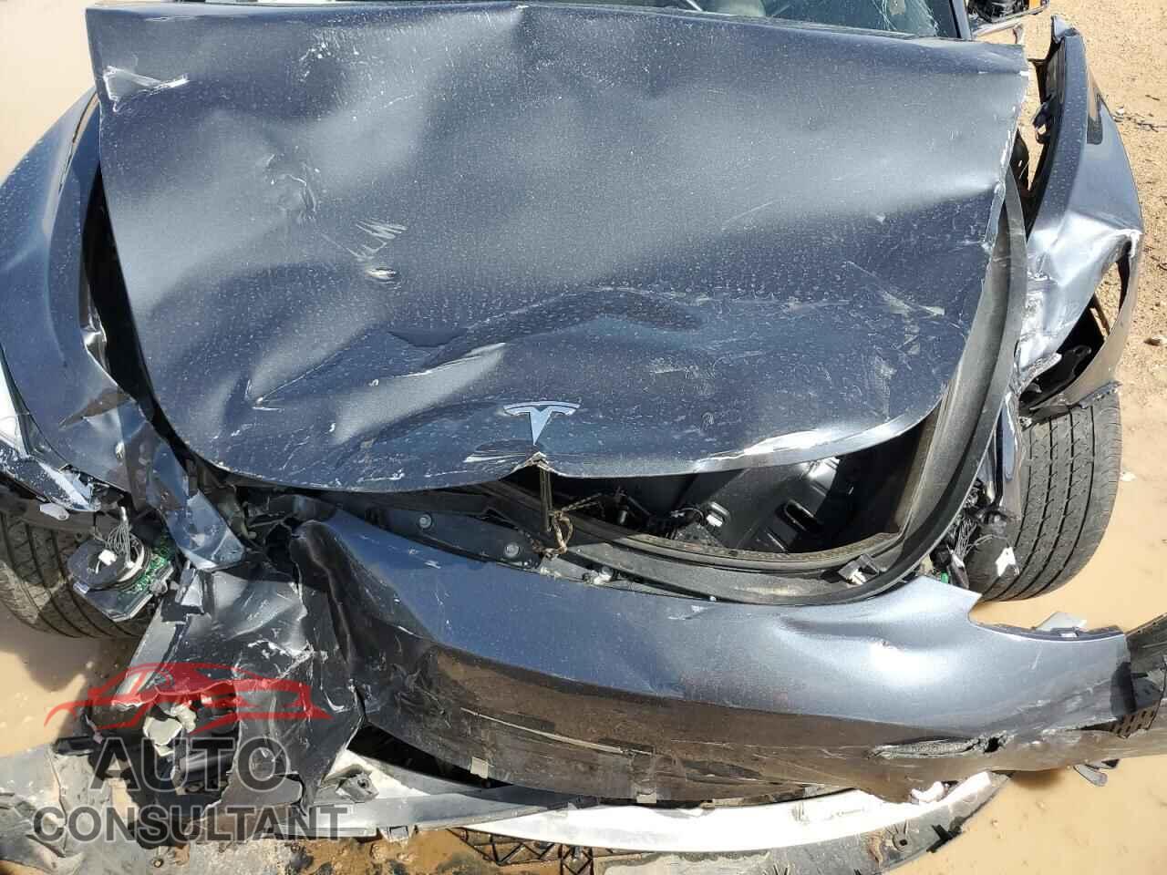 TESLA MODEL 3 2019 - 5YJ3E1EA1KF436317