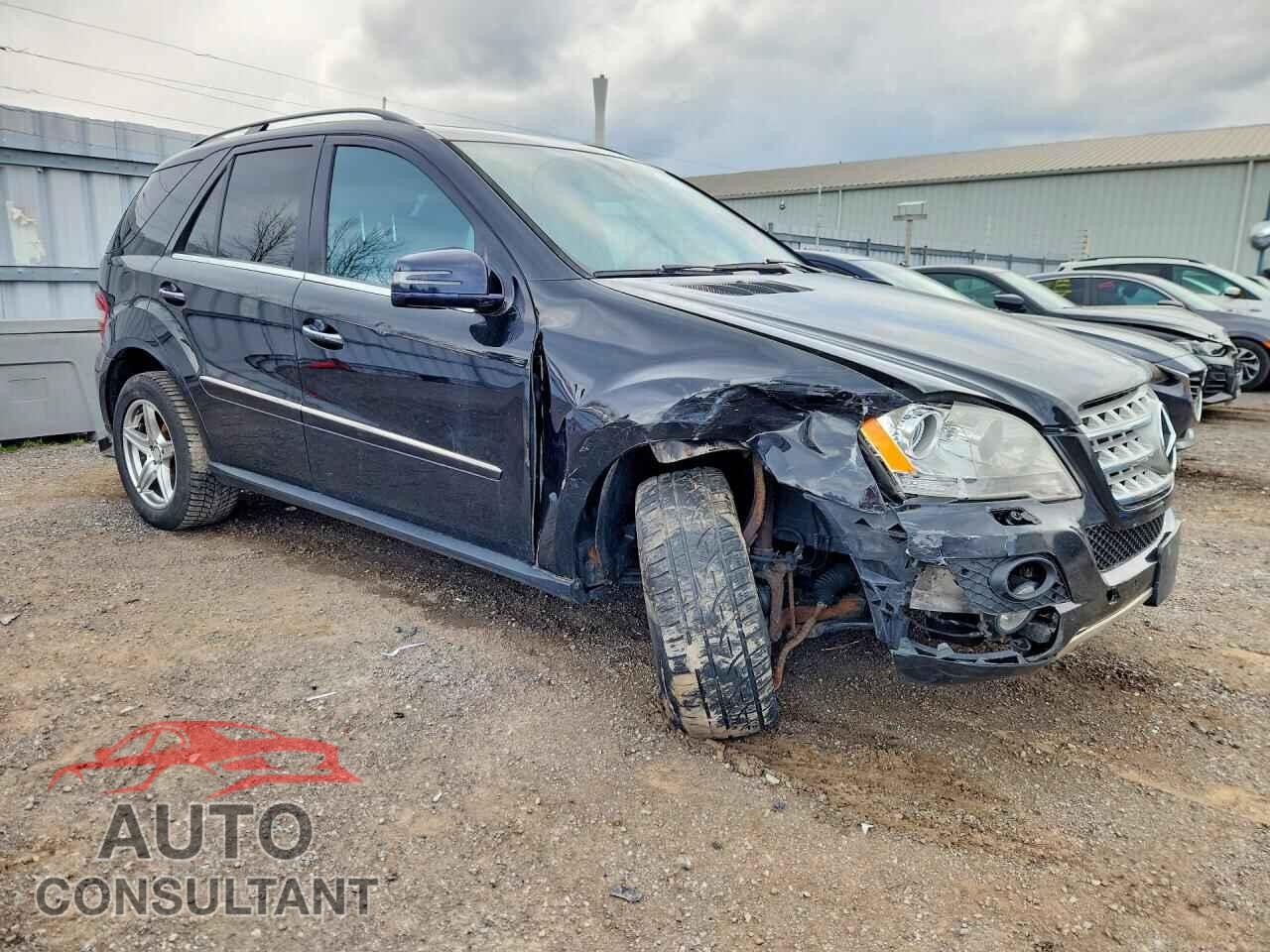 MERCEDES-BENZ M-CLASS 2010 - 4JGBB2FB3AA534771