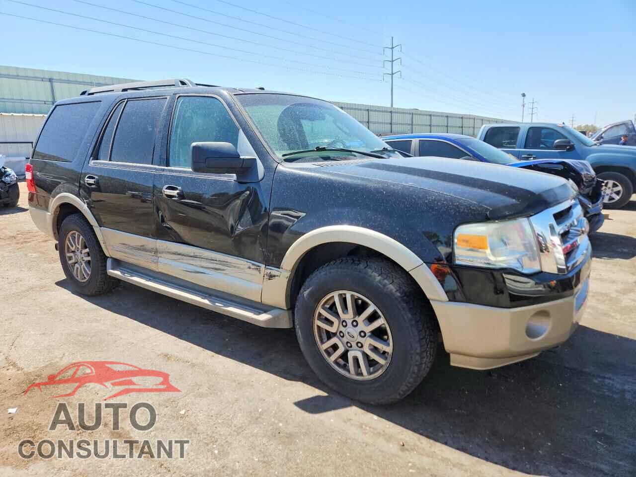 FORD EXPEDITION 2009 - 1FMFU18599EB06740