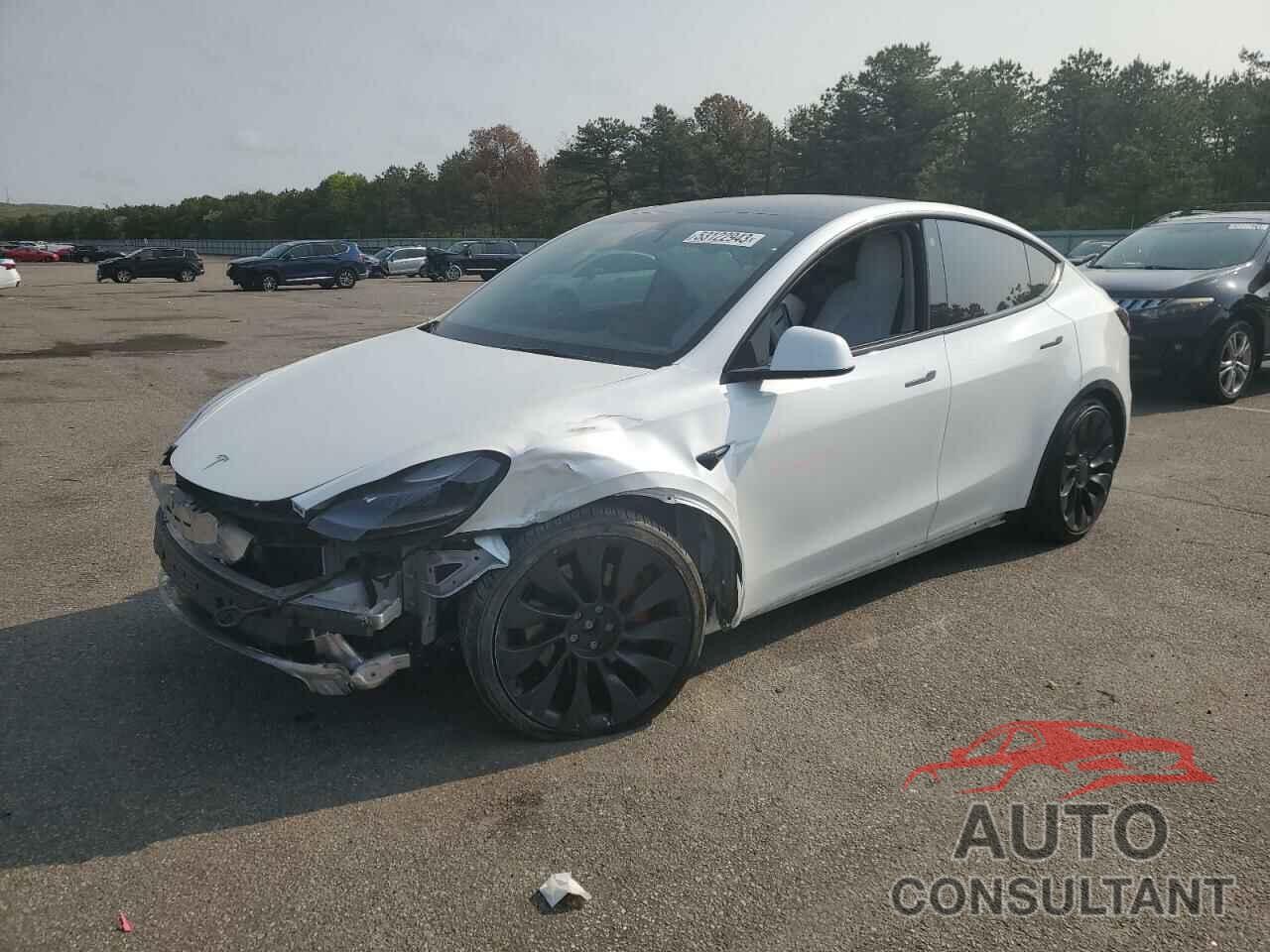 TESLA MODEL Y 2022 - 7SAYGDEF2NF383843