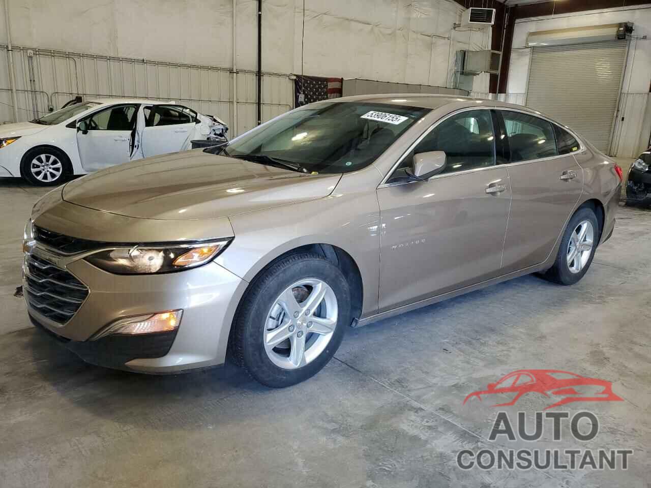 CHEVROLET MALIBU 2024 - 1G1ZB5ST4RF166398