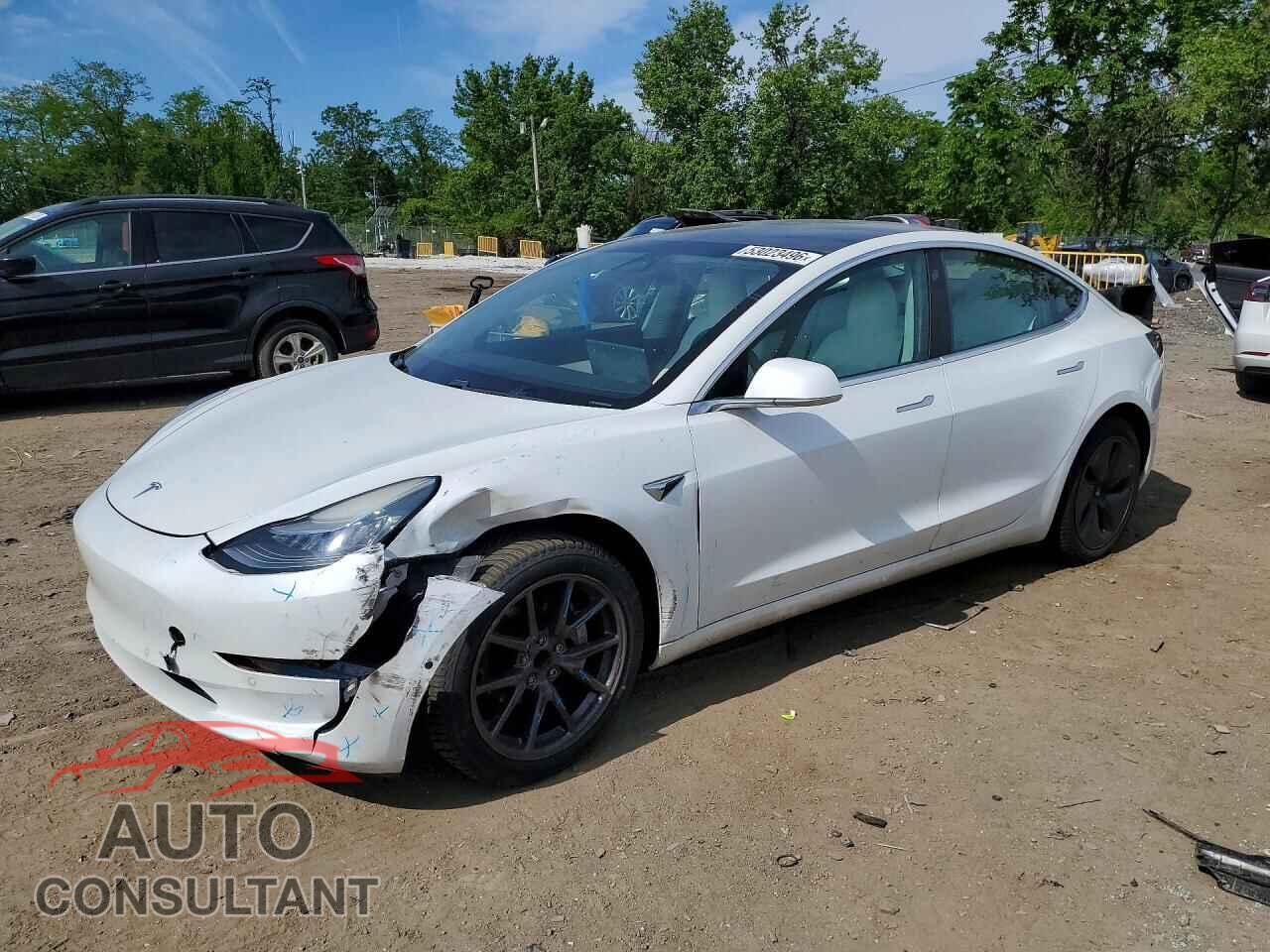 TESLA MODEL 3 2019 - 5YJ3E1EA1KF417816