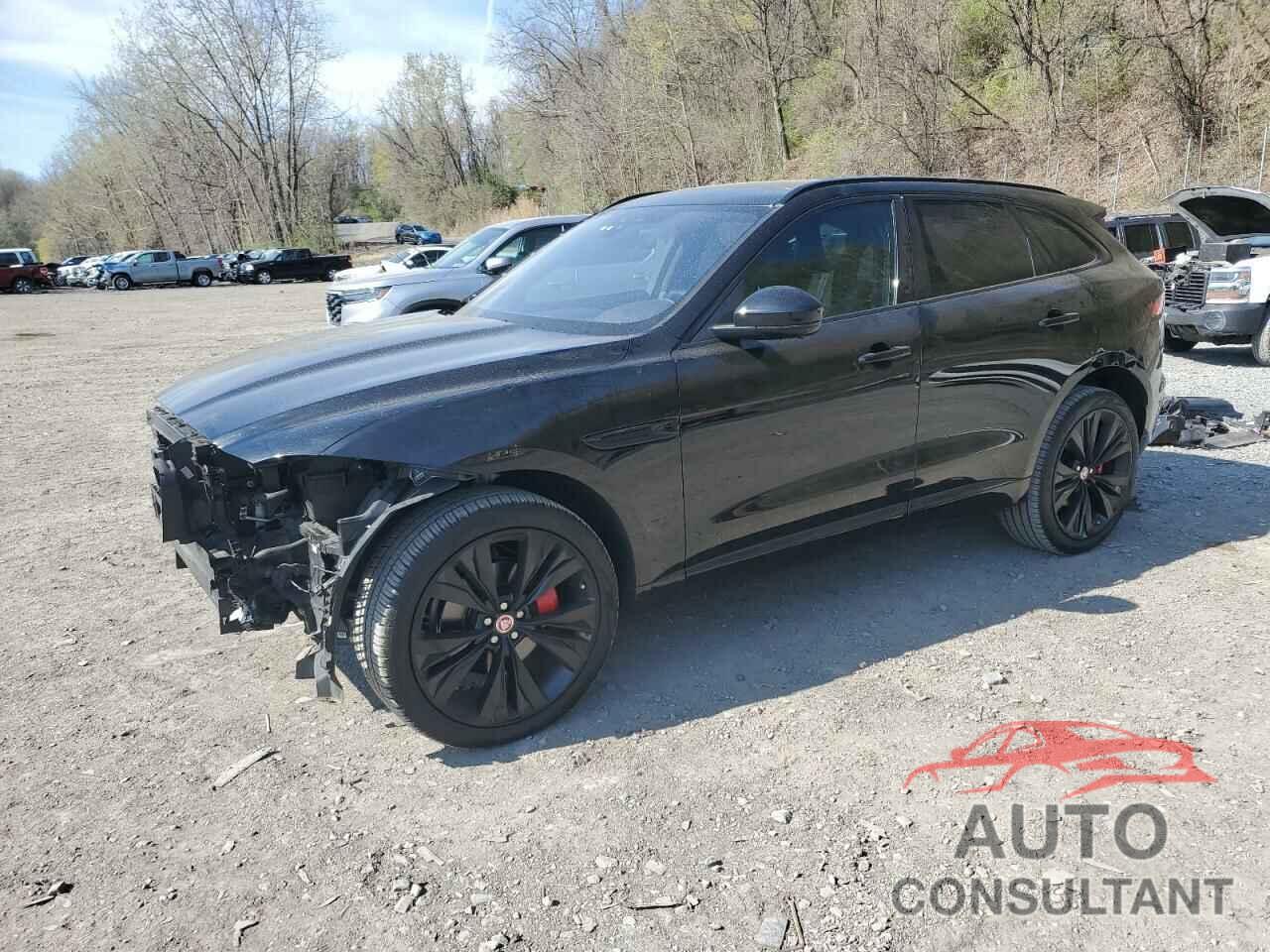 JAGUAR F-PACE 2019 - SADCM2FV8KA398771
