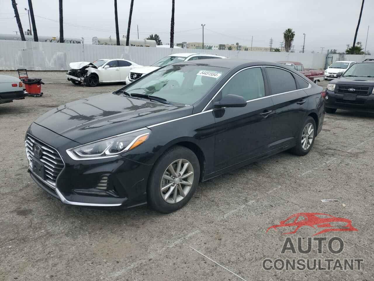 HYUNDAI SONATA 2019 - 5NPE24AF7KH784807