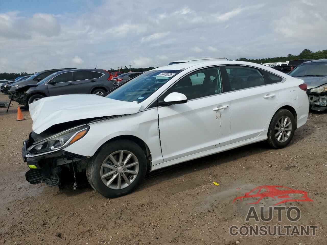 HYUNDAI SONATA 2019 - 5NPE24AF5KH747349